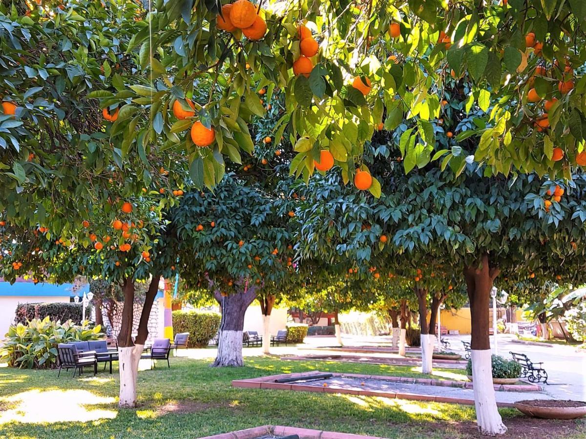 Cetinel Otel Adana Exterior foto
