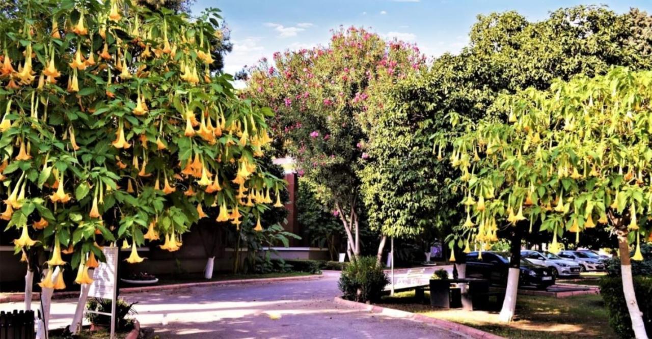 Cetinel Otel Adana Exterior foto
